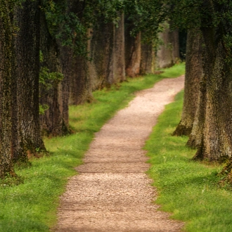 Pathway